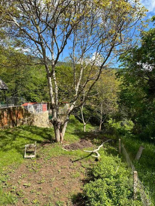 Cosy Mountain Villa In Nizepole بيتولا المظهر الخارجي الصورة